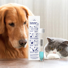 Gut-Morning Pet NGS Gut Microbial Analysis